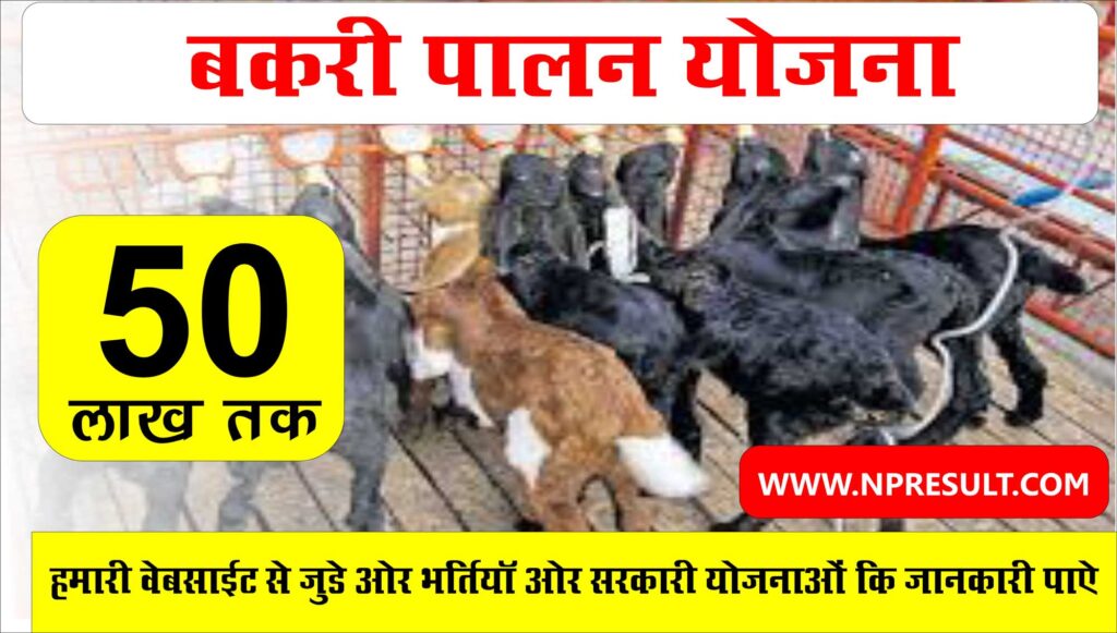 Goat Farming Loan Yojn